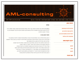 aml-consulting 