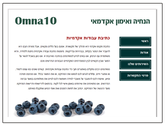 הנחיה ואימון אקדמאי